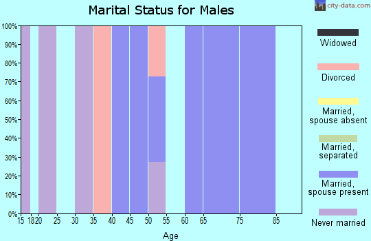 Zip code 42371 marital status for males