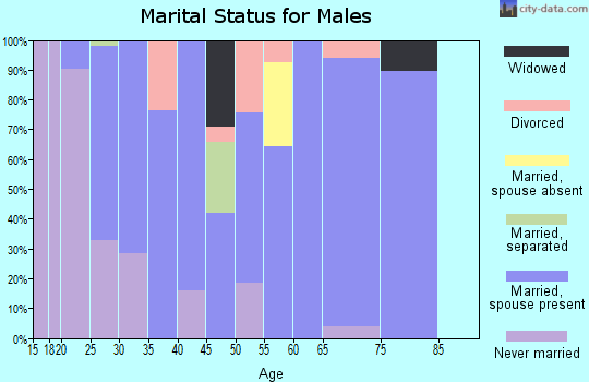 Zip code 42372 marital status for males