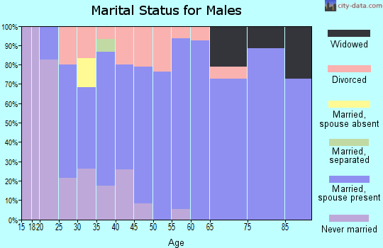 Zip code 42376 marital status for males