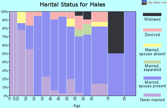 Zip code 42378 marital status for males