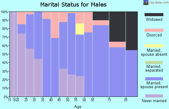 Zip code 42404 marital status for males