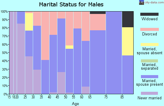 Zip code 42406 marital status for males