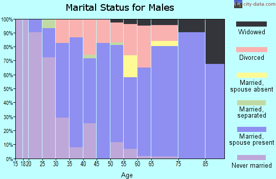 Zip code 42408 marital status for males
