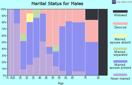 Zip code 42410 marital status for males
