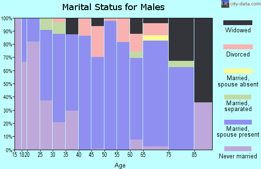 Zip code 42413 marital status for males