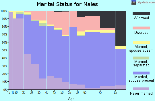 Zip code 42420 marital status for males