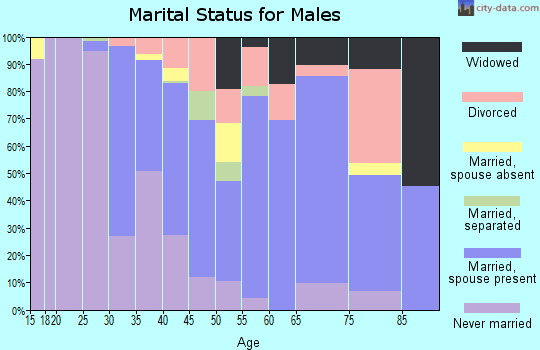 Zip code 42437 marital status for males