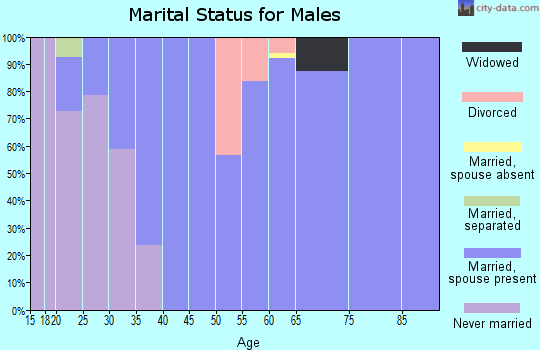 Zip code 42441 marital status for males