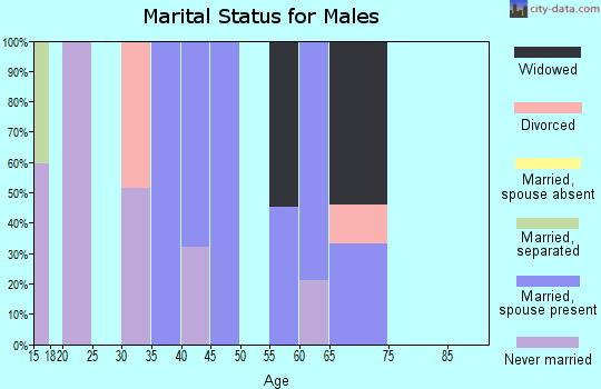 Zip code 42451 marital status for males