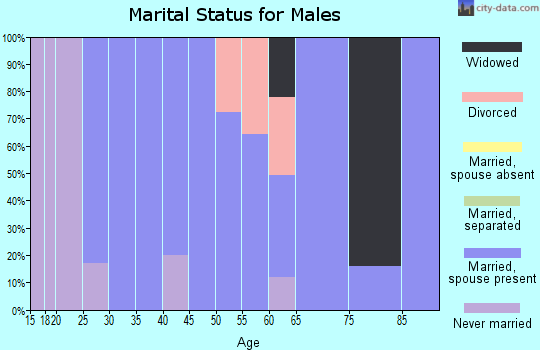 Zip code 42456 marital status for males