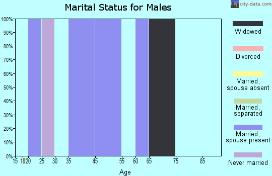 Zip code 42457 marital status for males