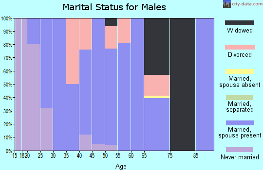 Zip code 42462 marital status for males