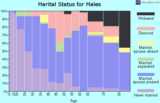 Zip code 42501 marital status for males