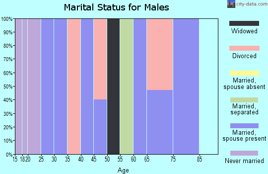 Zip code 42516 marital status for males