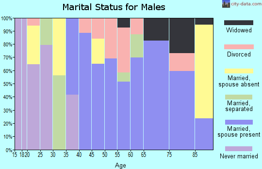 Zip code 42518 marital status for males