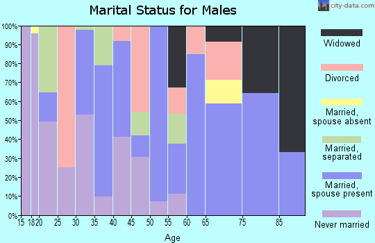 Zip code 42519 marital status for males