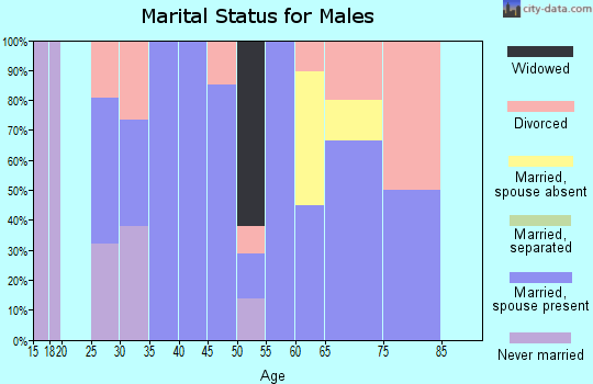 Zip code 42528 marital status for males