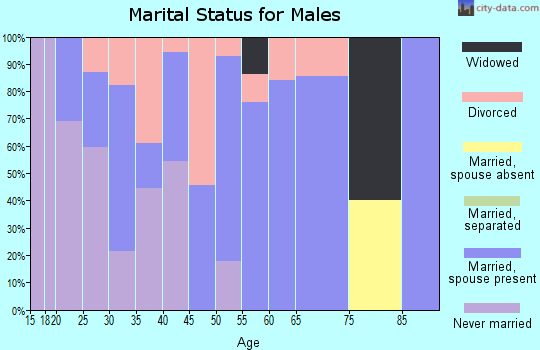 Zip code 42533 marital status for males