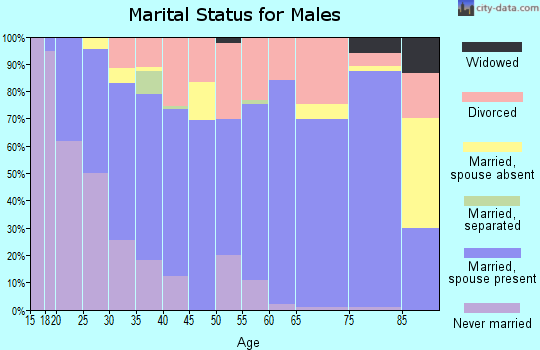 Zip code 42539 marital status for males