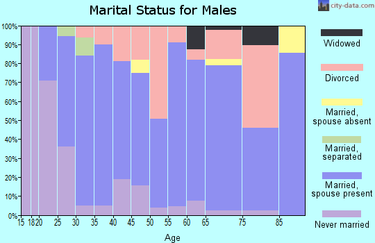 Zip code 42553 marital status for males