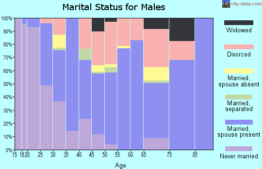 Zip code 42602 marital status for males