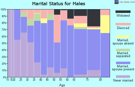 Zip code 42629 marital status for males
