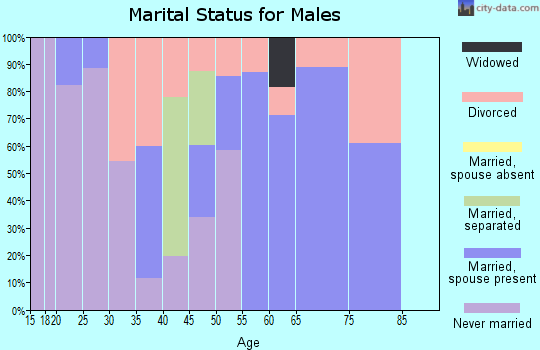 Zip code 42634 marital status for males