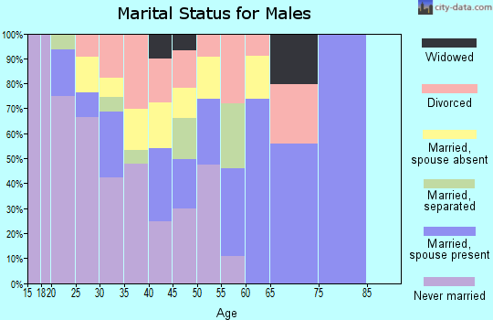 Zip code 42635 marital status for males