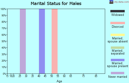 Zip code 42638 marital status for males