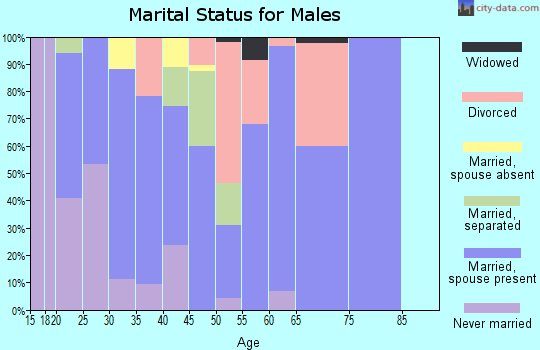 Zip code 42647 marital status for males