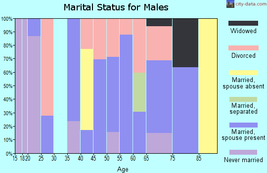 Zip code 42649 marital status for males