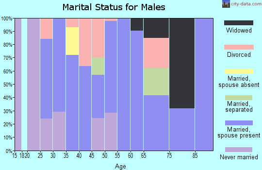 Zip code 42713 marital status for males