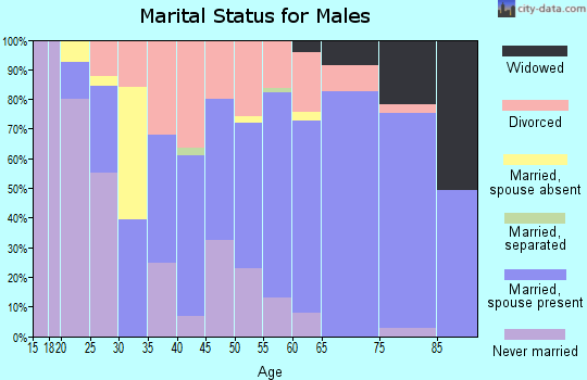 Zip code 42717 marital status for males