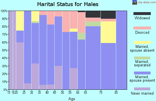 Zip code 42721 marital status for males
