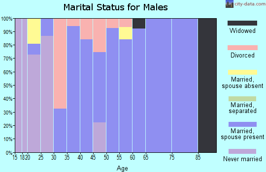 Zip code 42724 marital status for males