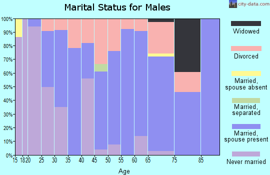 Zip code 42726 marital status for males