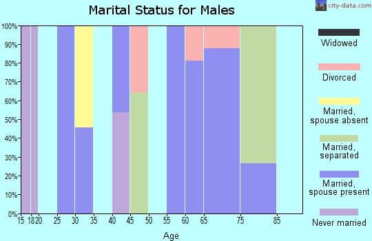 Zip code 42741 marital status for males
