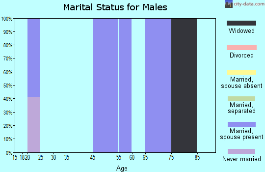 Zip code 42742 marital status for males
