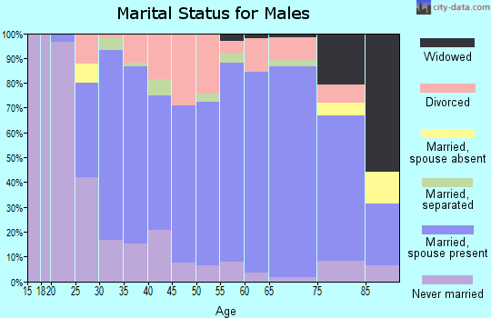 Zip code 42743 marital status for males