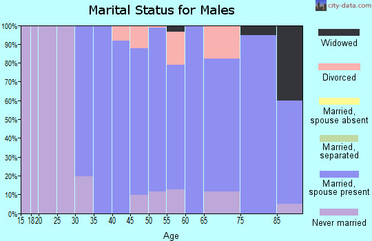 Zip code 43001 marital status for males