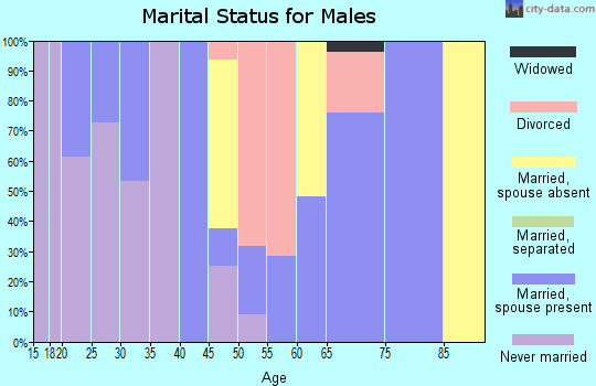 Zip code 43006 marital status for males