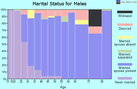 Zip code 43023 marital status for males