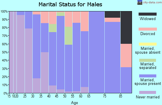 Zip code 43025 marital status for males