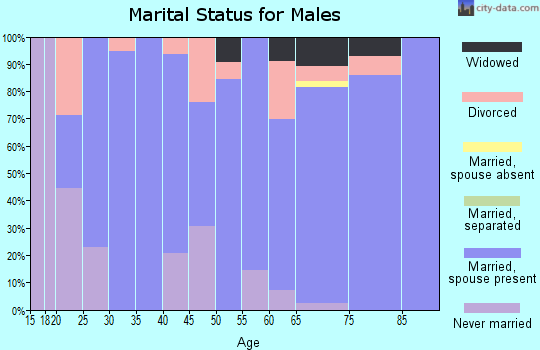 Zip code 43028 marital status for males
