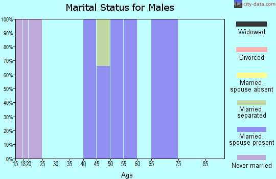 Zip code 43029 marital status for males