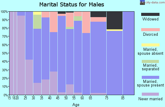 Zip code 43031 marital status for males