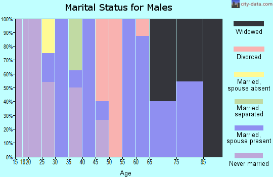 Zip code 43033 marital status for males