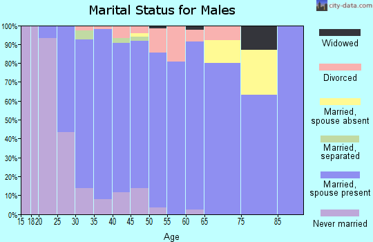 Zip code 43035 marital status for males