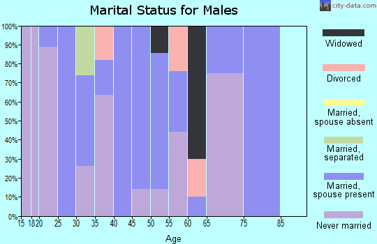 Zip code 43036 marital status for males