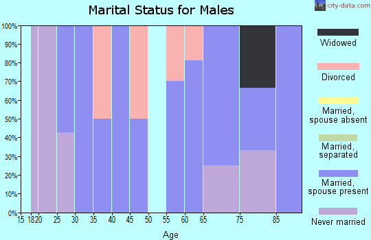 Zip code 43037 marital status for males